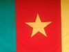 drapeau-cameroun