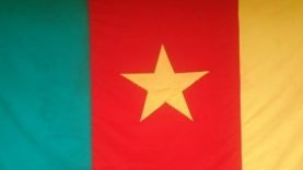 drapeau-cameroun