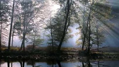 LES AMIS DE DAVID Tu es notre Dieu