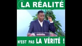 REALITY IS NOT TRUTH – RW INSTANT IMPACT