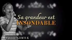 TA GRANDEUR EST INSONDABLE (Vidéo Lyrics) – Falonne NJIM’S K