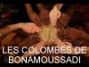 LES COLOMBES DE BONAMOUSSADI —MOMO YA BE MOMO