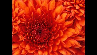 LES ENFANTS DE CHOEUR – QUEL AMI FIDELE ET TENDRE (Avec en bonus les paroles)