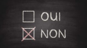Oui or Non Checkboxes on Blackboard – Chalkboard